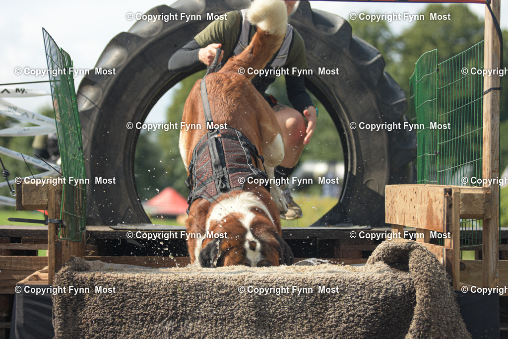 DSC_0807-2 | Hallo und herzlich Willkommen auf meiner Shop-Seite Fynn Most.

Ich wünsche Dir viel Spaß beim stöbern durch die Bilder, wenn Du Fragen hast oder Bilder vermisst, kannst du mir gerne eine Nachricht schreiben. - Realisiert mit Pictrs.com