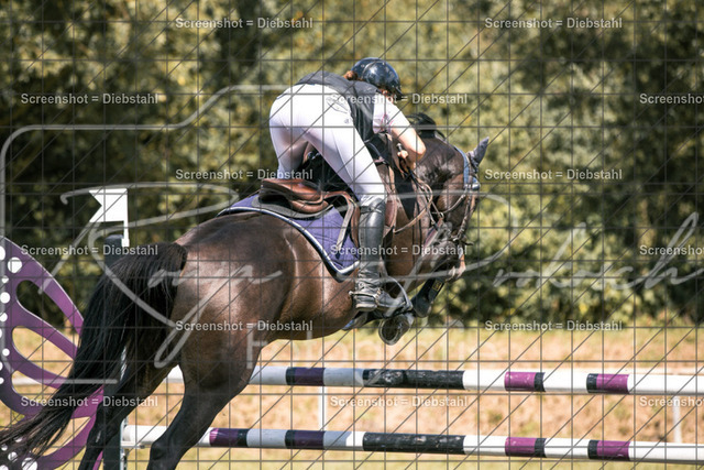 _W6A9855 | ronjaprokoschfotografie - Realisiert mit Pictrs.com