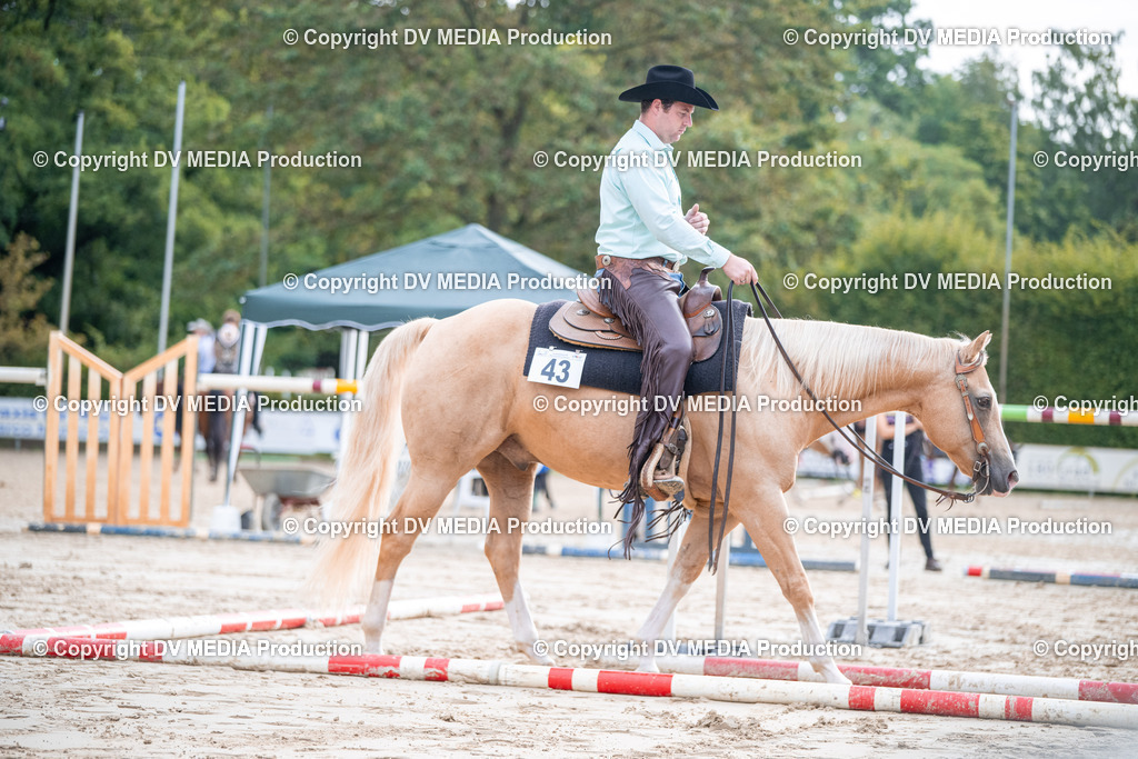 ZS3_4626 | dv-media-shop - Realisiert mit Pictrs.com