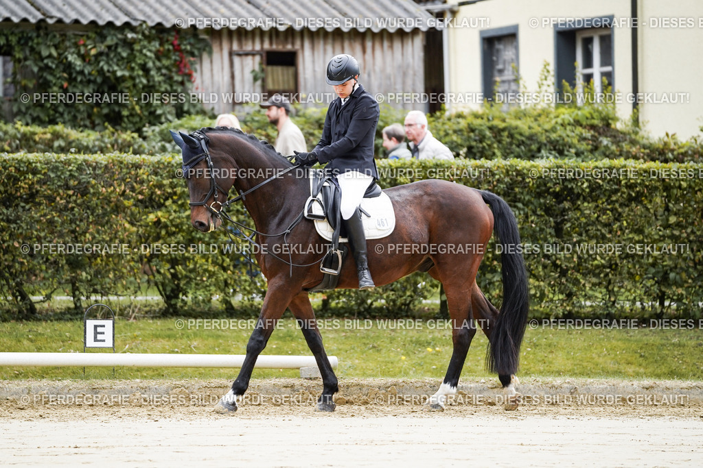 DSC04663 | Pferdegrafie