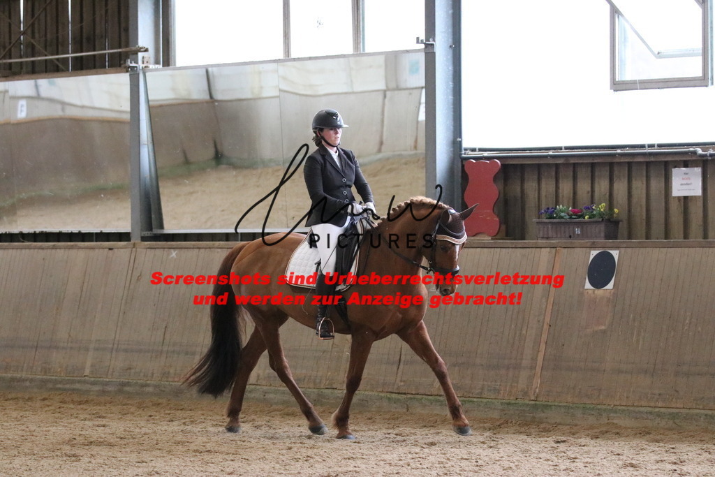 IMG_6950 | lmwpictures - Realisiert mit Pictrs.com