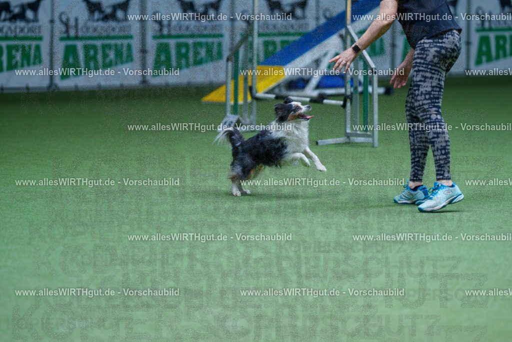 @allesWIRTHgut_Tierfotografie - www.allesWIRTHgut.de - 2604251300-7R503332 | Professionelle Tierfotografie in Mönchengladbach von Daniel Wirth (allesWIRTHgut). Liebevolle & natürliche Bilder von Hunden & Katzen für unvergessliche Erinnerungen.