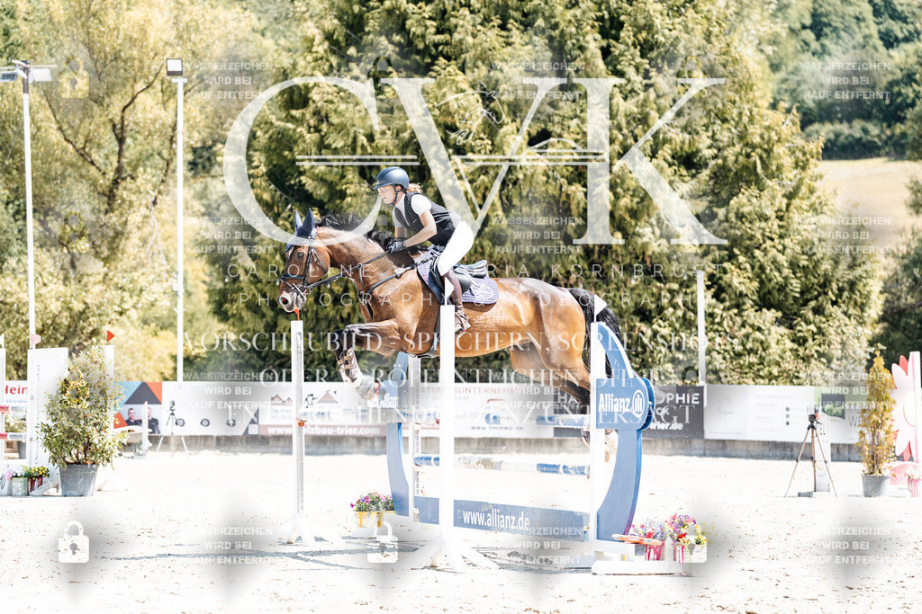 CK900379 | Turnierfotografie Pferdefotografie Trier Rheinland-Pfalz Pferdesport Reitsport Tierfotografie Sportfotografie Pferdevideo Pferdevideografie Equestrianvideography equestrianphotography  - Realisiert mit Pictrs.com