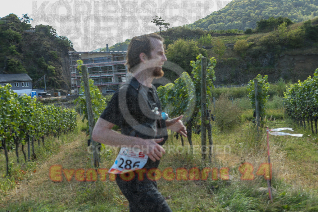 250830_0958_EX1_8988 | Sportfotografie im Rhein-Sieg Kreis, Köln, Bonn, NRW, Rheinland Pfalz, Hessen, etc. Unser Tätigkeitsfeld umfasst den Laufsport vom Volkslauf über den Marathon, Duathlon, Triathon bis zum Ultralauf wie Kölnpfad Ultra oder Schindertrail.
