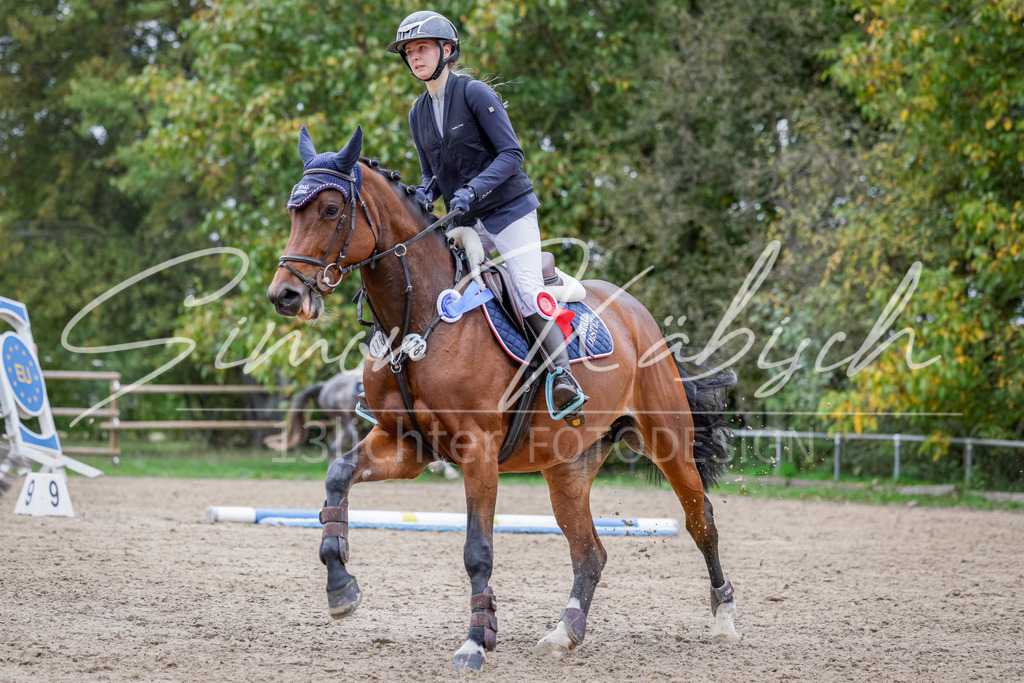 20251012-_3LI4264 | Tierfotografie Pferde, Hunde, Katzen, Haustiere.
Turnierfotografie Reitturniere, Reiten, Springreiten, Dressur in Hanau, dem Main-Kinzig-Kreis und dem Rhein-Main- Gebiet um Frankfurt