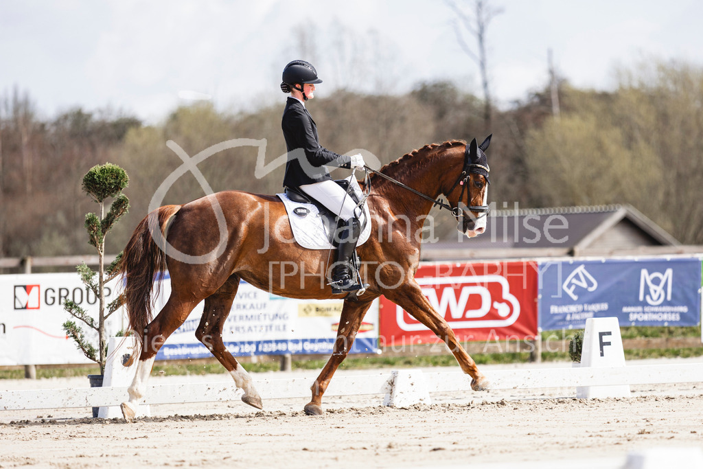 260331_Fruehlingsfest_Dressurpf-L-211 | Deine schönsten Turniermomente als professionelle Fotos! Entdecke hochwertige Pferdesport-Fotografie im Online-Shop. Jetzt Fotos finden & bestellen!