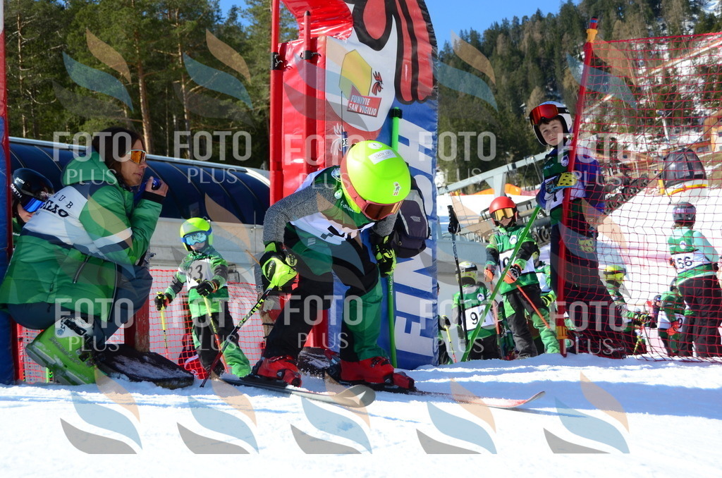 C5567 | holidayphoto