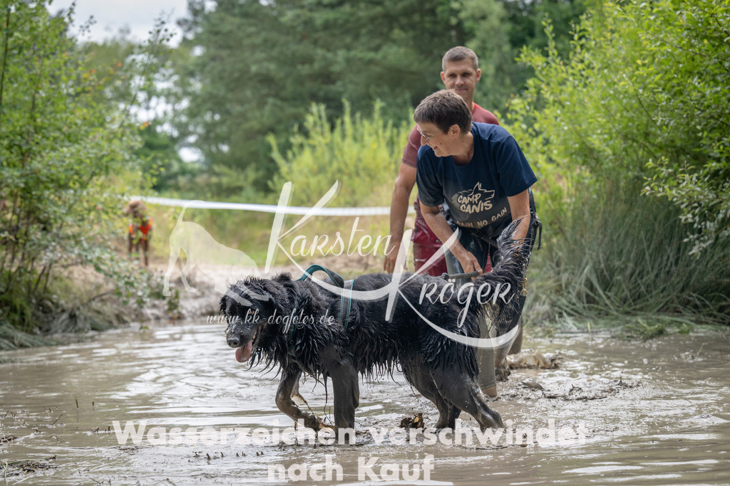 1456_ZZ94463 | kk-dogfotos