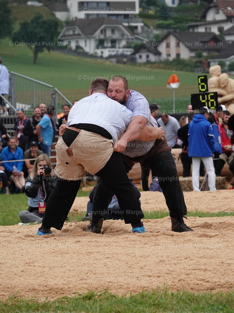 DSC04827 | Schwingen - Realisiert mit Pictrs.com