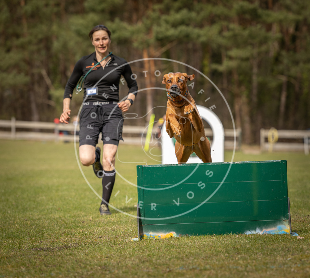 Pfotenfotografie_DV3A8274 | Hundefotografie, Tierfotograf, Pfotenfotografie, Fotoshooting Hund, Hunde Portrait, Hundesport, Hundeportraits, Heideshooting, Hunde, Sportfotograf, Hundefotograf, Turnierhundsport, THS,  - Realisiert mit Pictrs.com