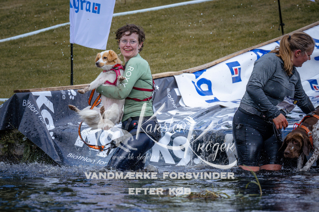 _ZZ913490913 | kk-dogfotos