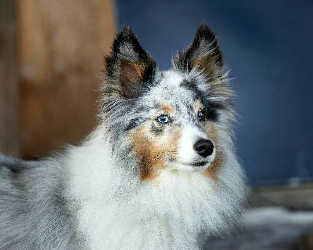 580A0009 | Peter Fridle Fotografie - Realisiert mit Pictrs.com