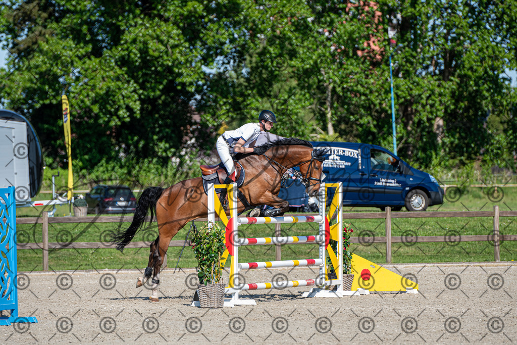 KPT_1837 | andre_photographic