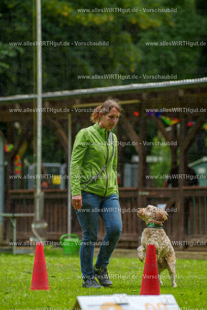 @allesWIRTHgut_Tierfotografie - www.allesWIRTHgut.de - 092305-7R507010 | Professionelle Tierfotografie in Mönchengladbach von Daniel Wirth (allesWIRTHgut). Liebevolle & natürliche Bilder von Hunden & Katzen für unvergessliche Erinnerungen.