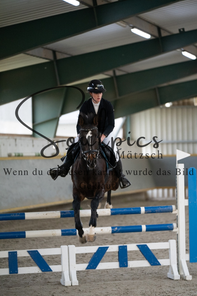 A7V07443 | Pferdefotograf