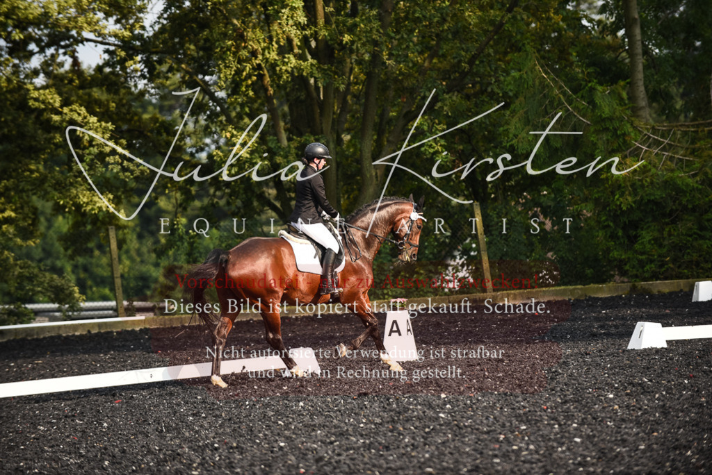 DSC_3336 | Pferde- und Turnierfotografie in Westsachsen. Pferdeportraits, Auftragszeichnungen und intuitive Kunst.