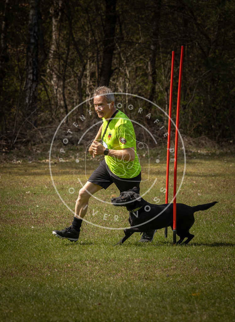 Pfotenfotografie_DV3A4135 | Hundefotografie, Tierfotograf, Pfotenfotografie, Fotoshooting Hund, Hunde Portrait, Hundesport, Hundeportraits, Heideshooting, Hunde, Sportfotograf, Hundefotograf, Turnierhundsport, THS,  - Realisiert mit Pictrs.com
