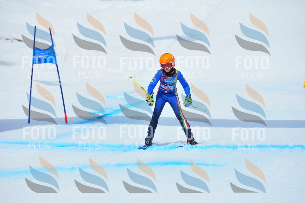 DSC_6451 | holidayphoto