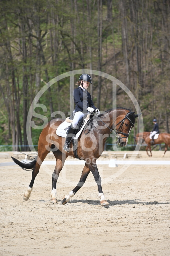 DSC_2341 | sattelsport - Realisiert mit Pictrs.com