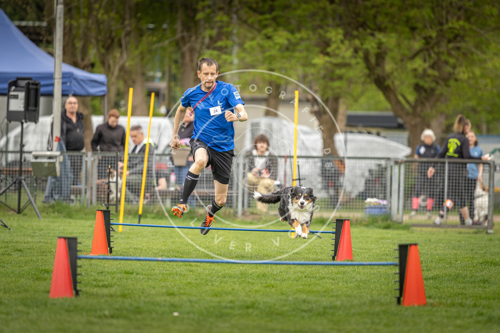 Pfotenfotografie_DV3A0843 | Hundefotografie, Tierfotograf, Pfotenfotografie, Fotoshooting Hund, Hunde Portrait, Hundesport, Hundeportraits, Heideshooting, Hunde, Sportfotograf, Hundefotograf, Turnierhundsport, THS,  - Realisiert mit Pictrs.com