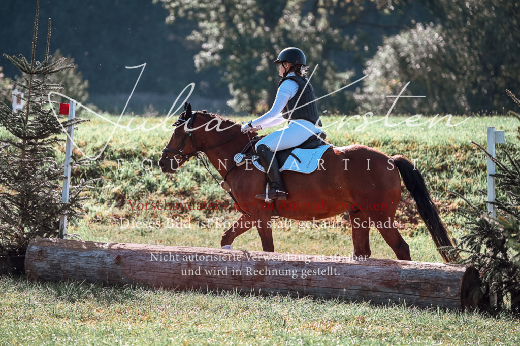 DSC_0613 | Pferde- und Turnierfotografie in Westsachsen. Pferdeportraits, Auftragszeichnungen und intuitive Kunst.