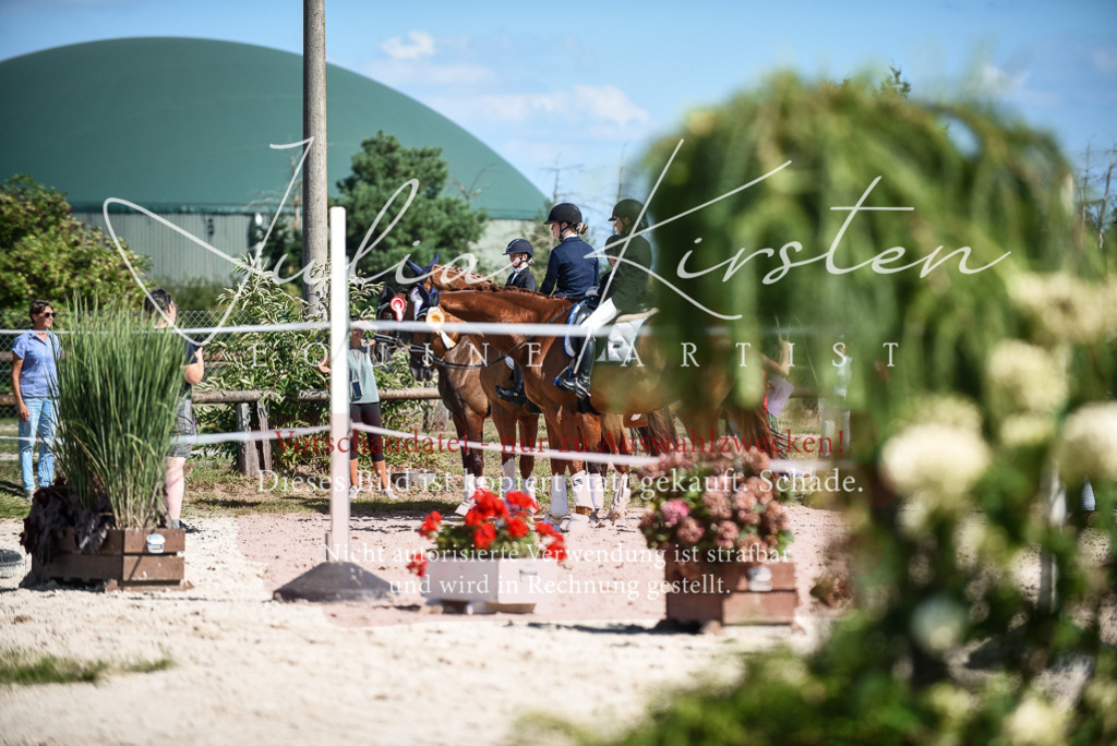 DSC_9708 | Pferde- und Turnierfotografie in Westsachsen. Pferdeportraits, Auftragszeichnungen und intuitive Kunst.