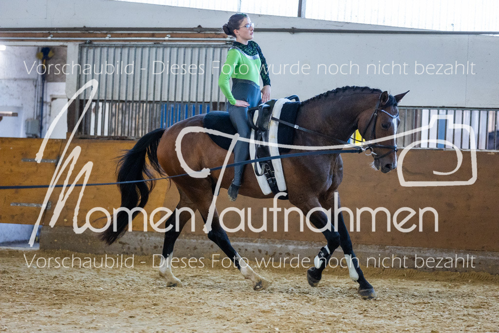 GS-NS-014 | MomenTaufnahmen Pferdesportfotos