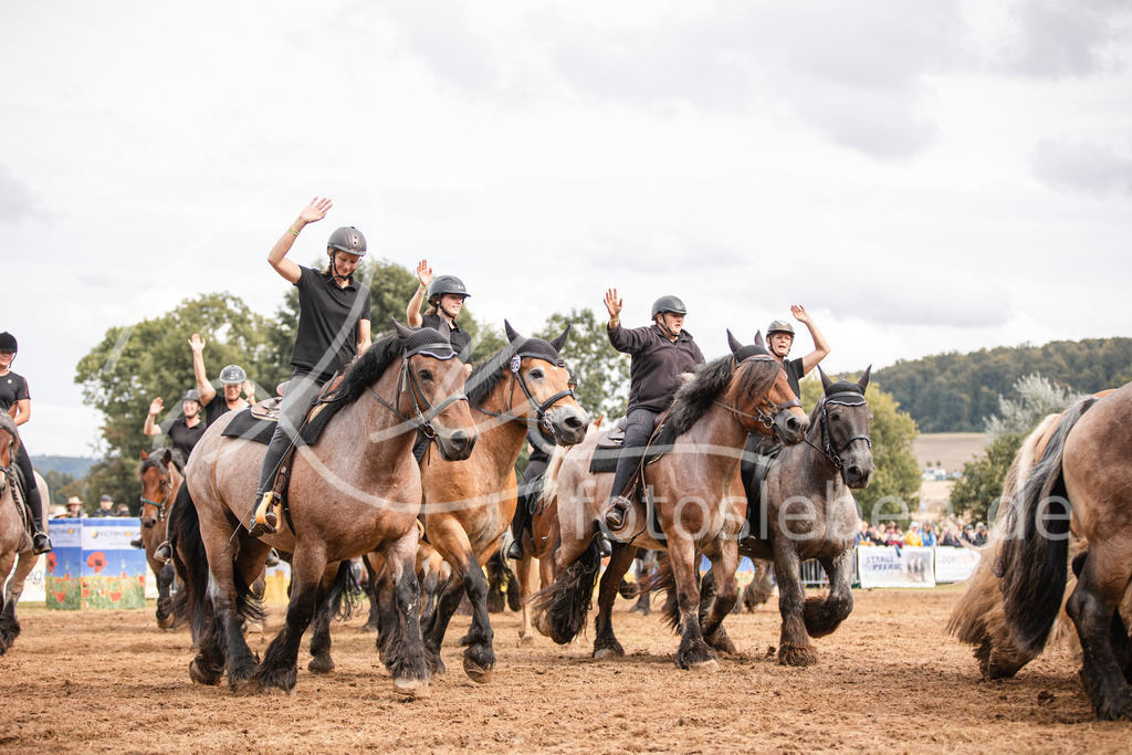 846A4117 | fotosleben - Realisiert mit Pictrs.com