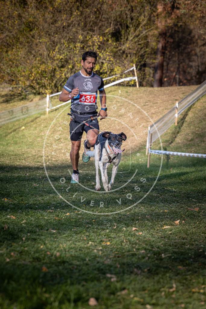 CaniXpix_0L8A8986 | Hundefotografie, Tierfotograf, Pfotenfotografie, Fotoshooting Hund, Hunde Portrait, Hundesport, Hundeportraits, Heideshooting, Hunde, Sportfotograf, Hundefotograf, Turnierhundsport, THS,  - Realisiert mit Pictrs.com