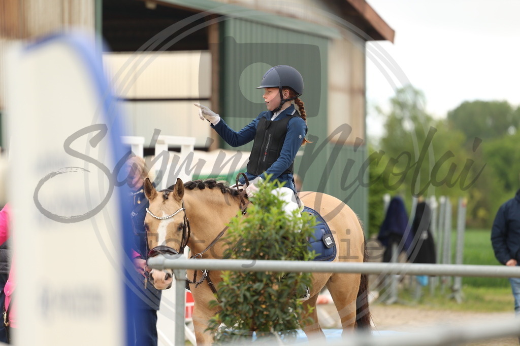 994A8584 | sabrinanicolaifotografie - Realisiert mit Pictrs.com