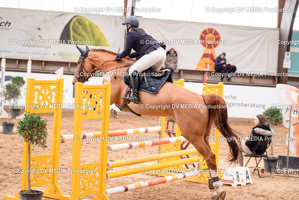 Kranichstein Tag 3-393 | dv-media-shop - Realisiert mit Pictrs.com