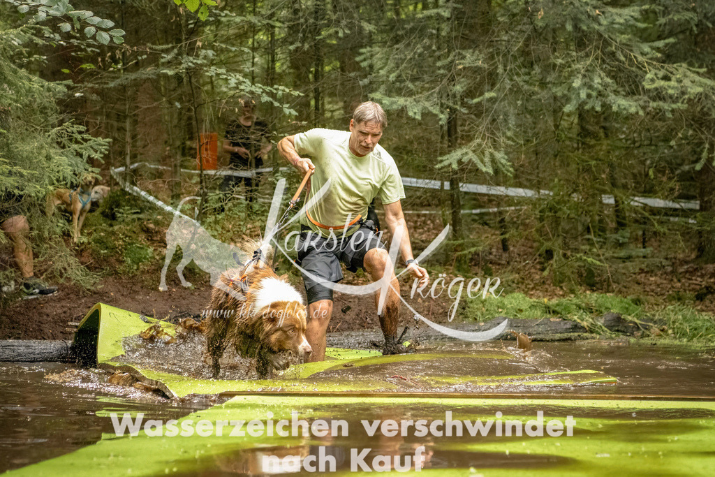 1415_ZZ91721-Bearbeitet | kk-dogfotos