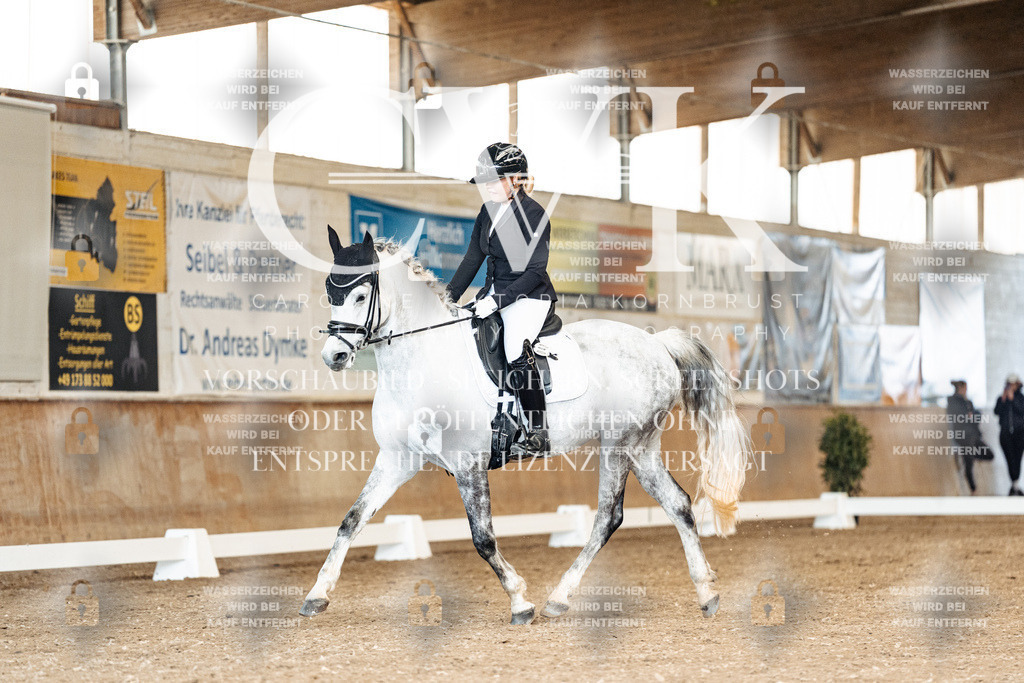 CK900854 | Turnierfotografie Pferdefotografie Trier Rheinland-Pfalz Pferdesport Reitsport Tierfotografie Sportfotografie Pferdevideo Pferdevideografie Equestrianvideography equestrianphotography  - Realized with Pictrs.com