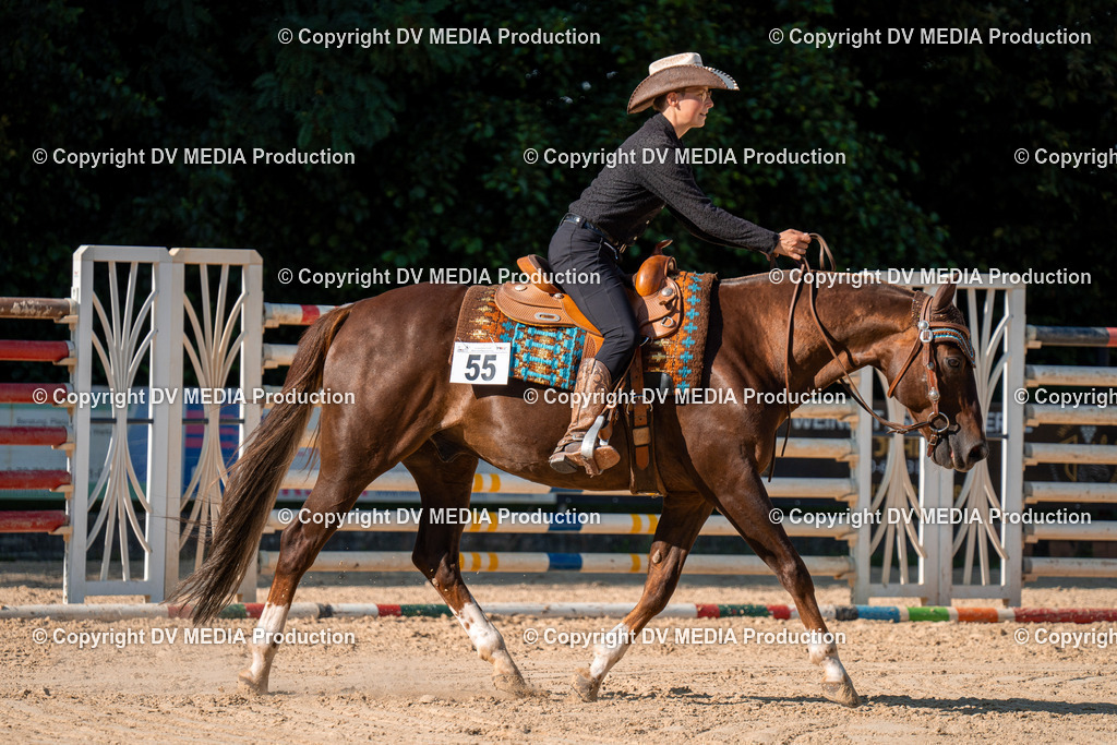 ZH100804 | dv-media-shop - Realisiert mit Pictrs.com