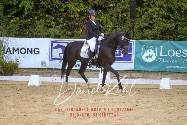 DKP41471 | Turniersportfotografie; Pferdefotografie; Dressurfotografie