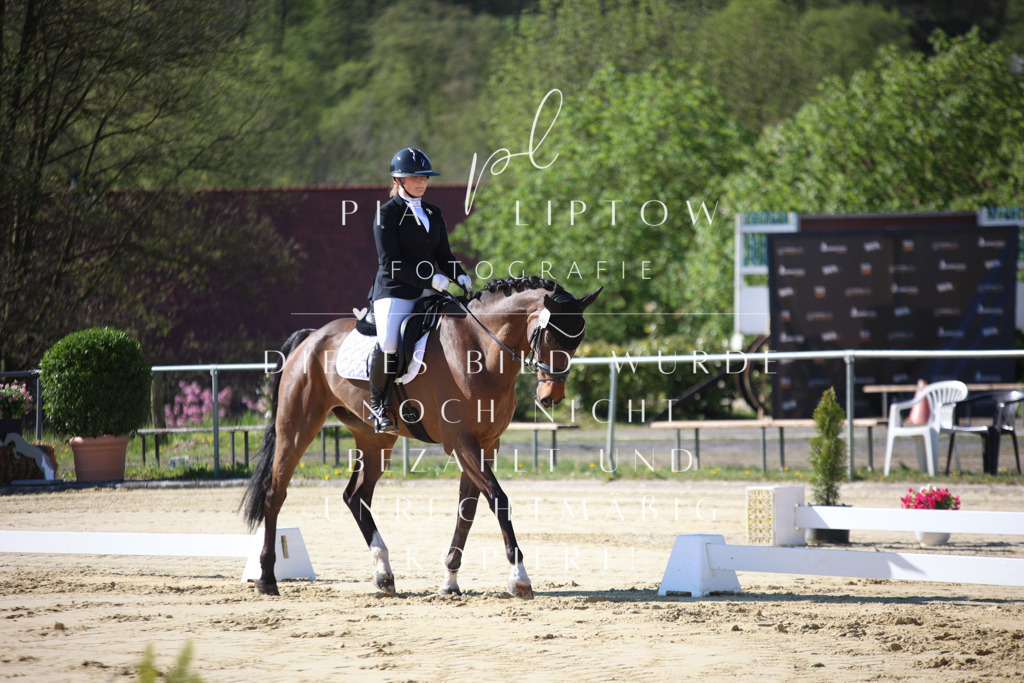 IMGT9300 | pl-fotografie