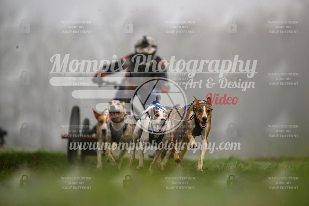 MompixPhotography_CDF2023_FFST_Di_Kart-71 | PayLife