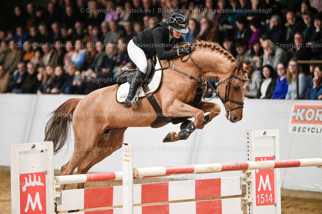 20260307_Hengstvorstellung-Marbach_0153 | equistock