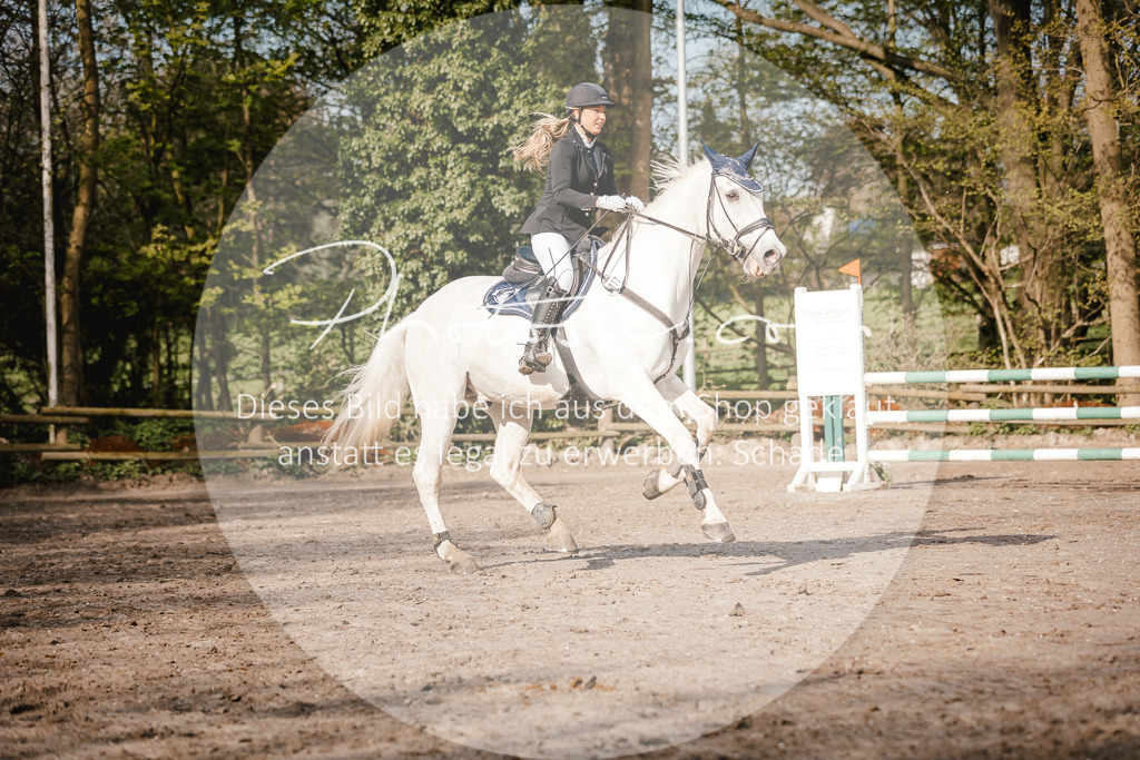 3I6A3524 | Stimmungsvolle Portraits und Reitsportfotografie im Ruhrgebiet und im Münsterland.

Pferdefotografie, Hundefotografie, Tierfotografie, Reportagen, Portraits von Tier und Mensch, Turnierfotografie in Bochum, Recklinghausen, Marl, Haltern am See, Dülmen.. - Realisiert mit Pictrs.com