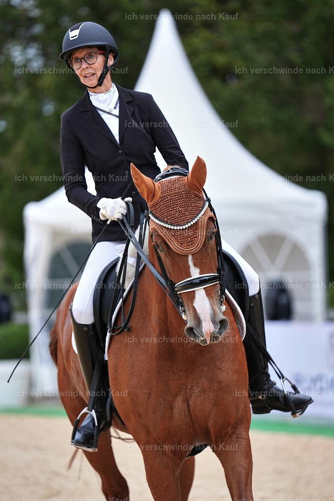 04_1-084-Dressur M__ -Marixx-2745 | working equitationturnier fotograf videograf stoibphotography marixx film working equitation deutschland reitsport turnierfotografie eventfotografie equestrian events