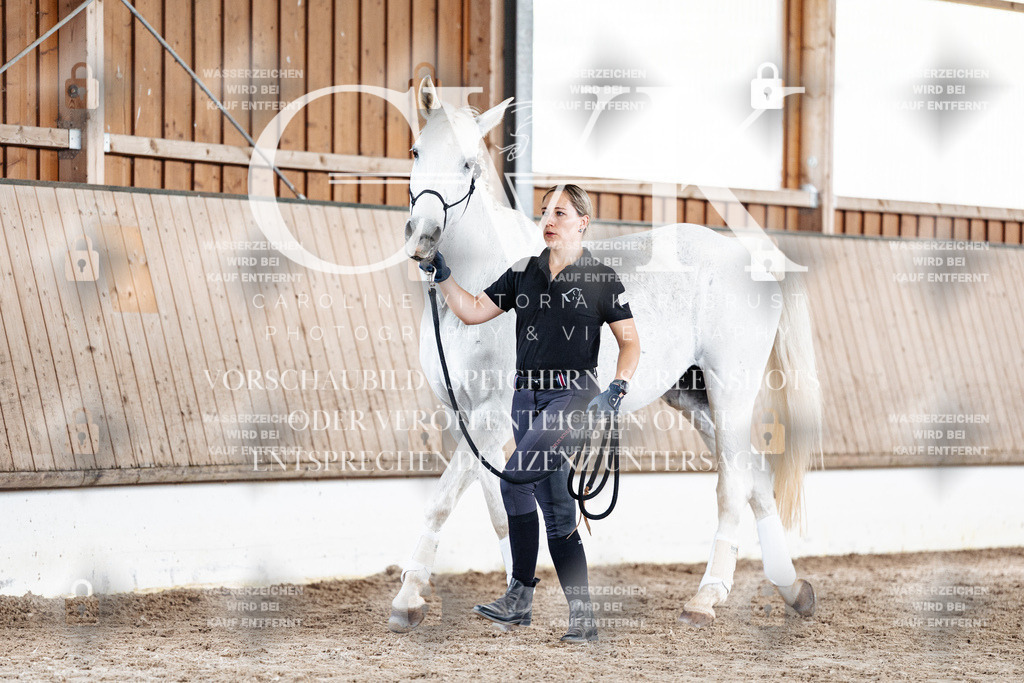 CK908198 | Turnierfotografie Pferdefotografie Trier Rheinland-Pfalz Pferdesport Reitsport Tierfotografie Sportfotografie Pferdevideo Pferdevideografie Equestrianvideography equestrianphotography  - Realisiert mit Pictrs.com