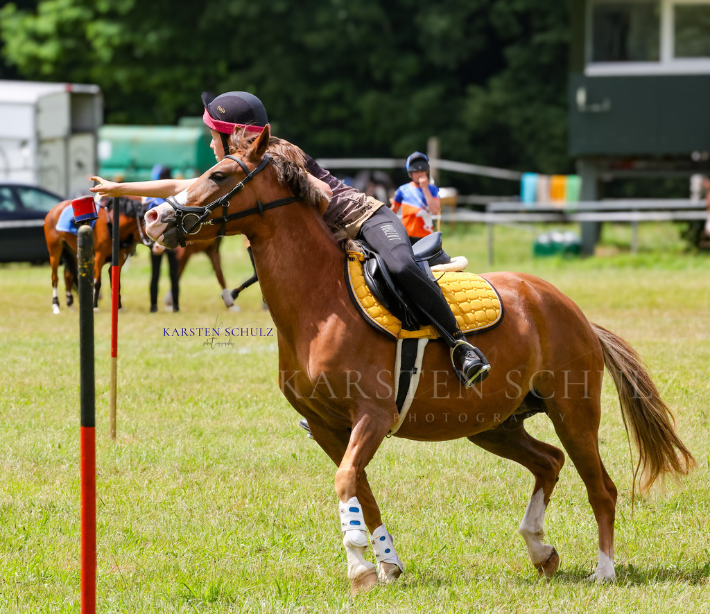 1B3A1052 | Reitsport Reiten