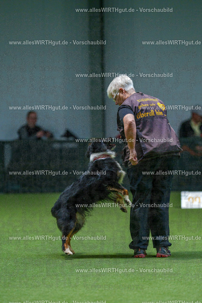 7R507078 | Professionelle Tierfotografie in Mönchengladbach von Daniel Wirth (allesWIRTHgut). Liebevolle & natürliche Bilder von Hunden & Katzen für unvergessliche Erinnerungen.