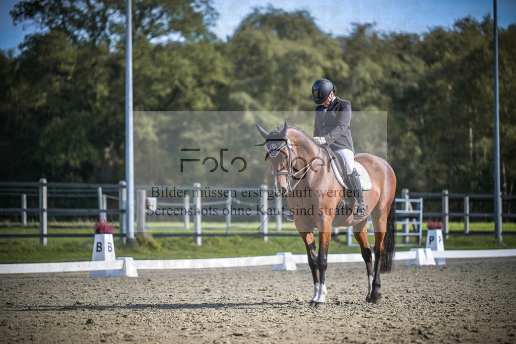 DOS_0970 | Entdecke hochwertige Reitturnierfotos von Foto Oger. Professionell, emotional und authentisch – jetzt Lieblingsmomente im Shop bestellen.Deutschlandweite Turnierfotografie. - Realisiert mit Pictrs.com