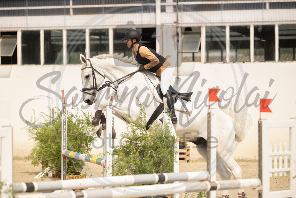 994A9510 | sabrinanicolaifotografie - Realisiert mit Pictrs.com