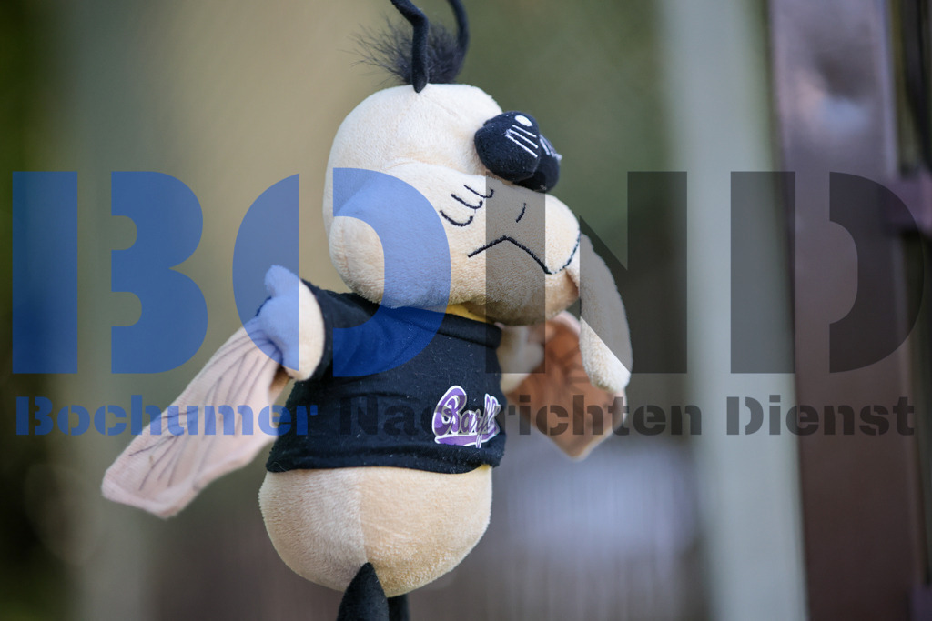 SES_BOCLIP20250510-28 | bond - Realisiert mit Pictrs.com