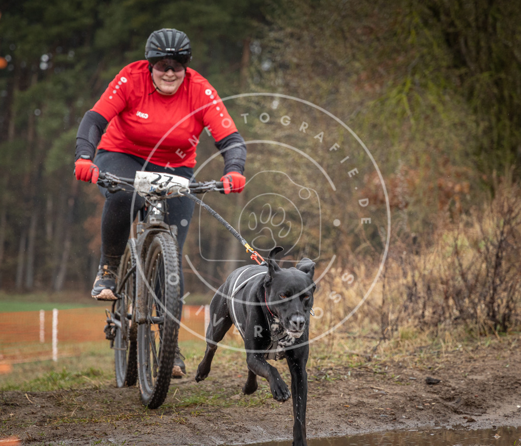 0L8A8879 | Hundefotografie, Tierfotograf, Pfotenfotografie, Fotoshooting Hund, Hunde Portrait, Hundesport, Hundeportraits, Heideshooting, Hunde, Sportfotograf, Hundefotograf, Turnierhundsport, THS,  - Realisiert mit Pictrs.com