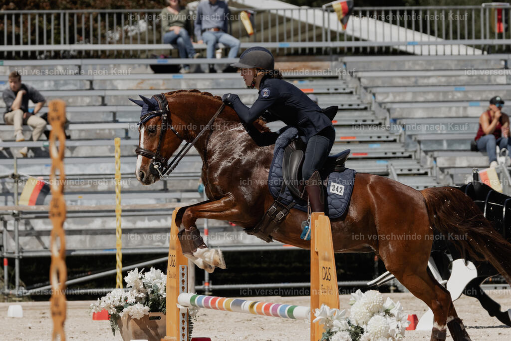 _AM18484 | working equitationturnier fotograf videograf stoibphotography marixx film working equitation deutschland reitsport turnierfotografie eventfotografie equestrian events