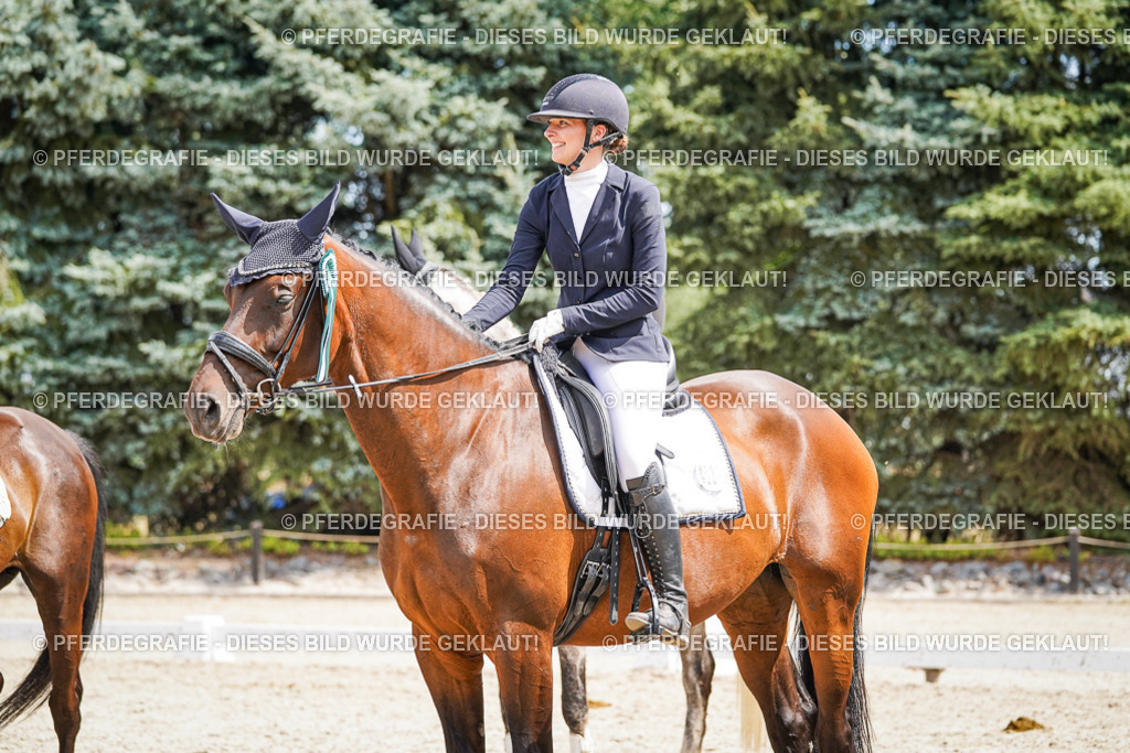 DSC02280 | Pferdegrafie