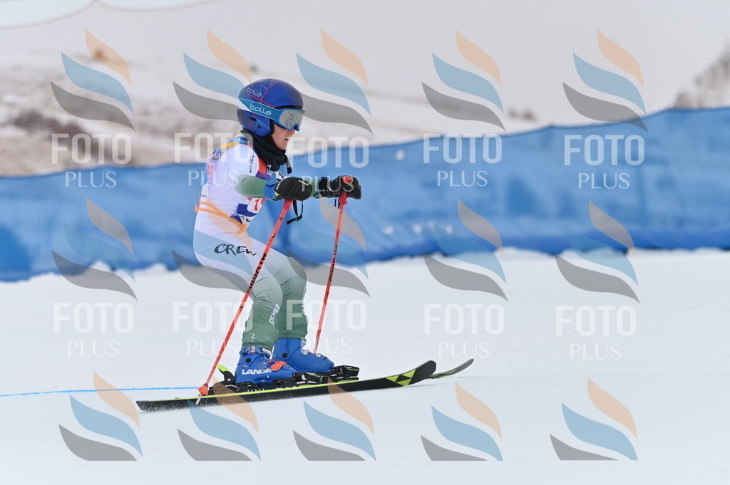 BGV_1431 | holidayphoto